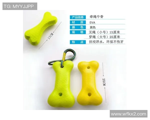 飞盘热潮下的杭州飞盘队心理素质提升之路探讨